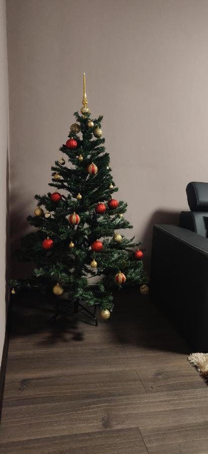 Home Apartament Brasov Bagian luar foto